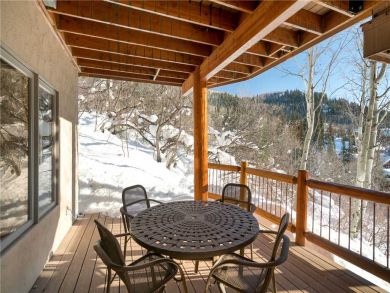 Steamboat Springs Home 927572