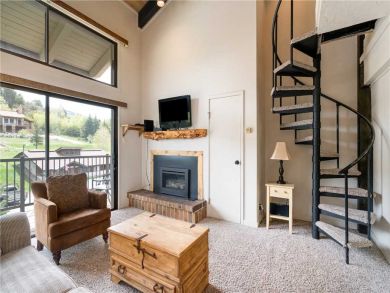 Steamboat Springs Home 927575 Steamboat Springs Home 927575