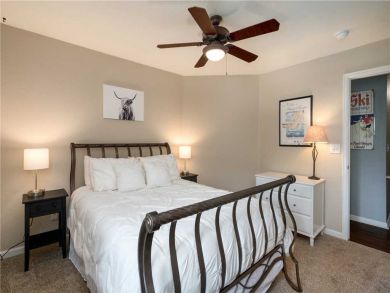 Steamboat Springs Home 927576