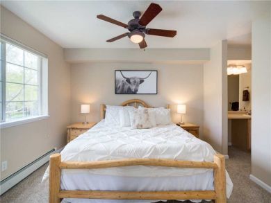 Steamboat Springs Home 927576