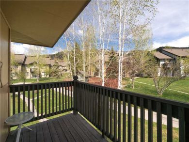 Steamboat Springs Home 927576