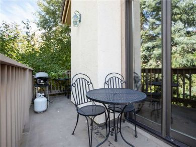Steamboat Springs Home 927579 Steamboat Springs Home 927579