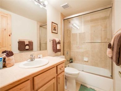 Steamboat Springs Home 927582