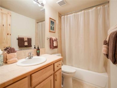 Steamboat Springs Home 927582