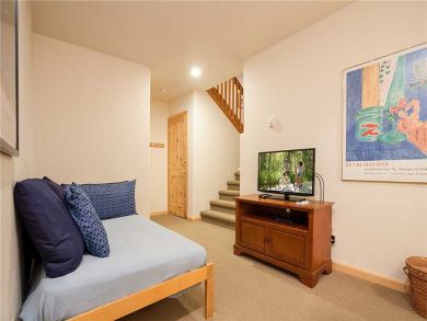 Steamboat Springs Home 927582