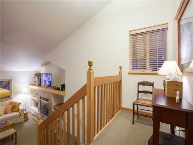 Steamboat Springs Home 927582