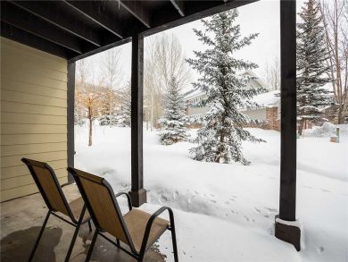 Steamboat Springs Home 927582