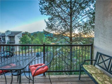 Steamboat Springs Home 927583