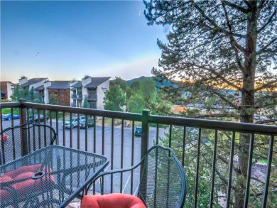Steamboat Springs Home 927583