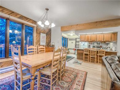 Steamboat Springs Home 927584