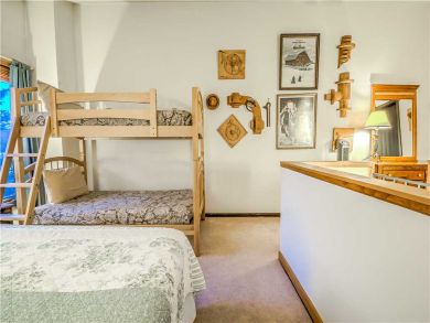 Steamboat Springs Home 927584