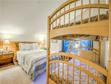 Steamboat Springs Home 927584