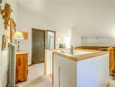 Steamboat Springs Home 927584