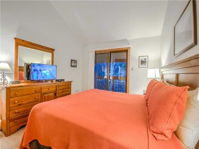 Steamboat Springs Home 927584