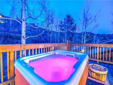 Steamboat Springs Home 927584