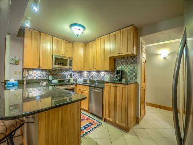 Steamboat Springs Home 927585