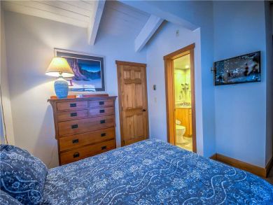 Steamboat Springs Home 927585