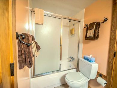 Steamboat Springs Home 927585