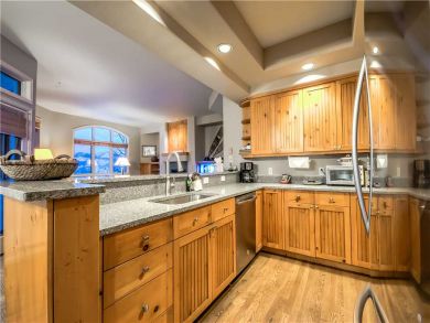 Steamboat Springs Home 927593