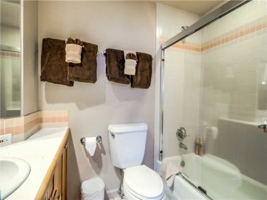 Steamboat Springs Home 927593