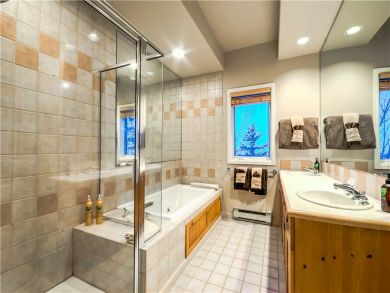 Steamboat Springs Home 927593