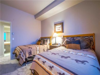 Steamboat Springs Home 927593