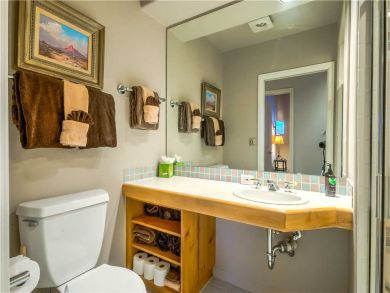 Steamboat Springs Home 927593