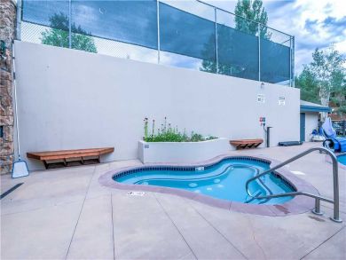 Steamboat Springs Home 927593