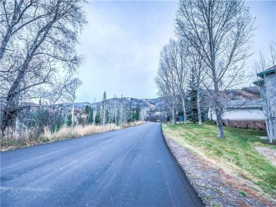Steamboat Springs Home 927593