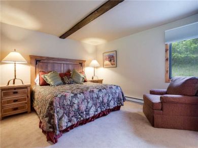 Steamboat Springs Home 927595 Steamboat Springs Home 927595