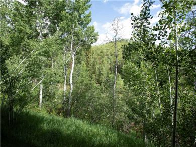 Steamboat Springs Home 927595 Steamboat Springs Home 927595