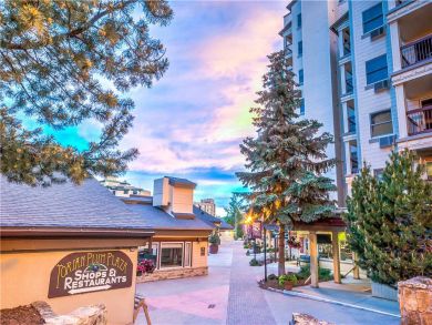 Steamboat Springs Home 927596