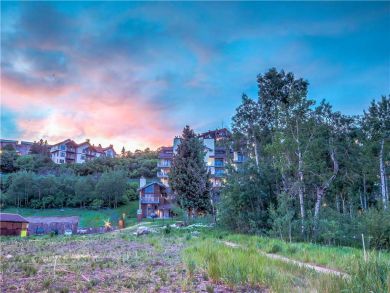 Steamboat Springs Home 927596