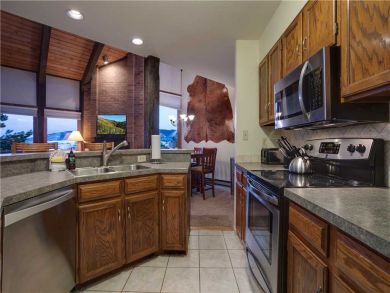 Steamboat Springs Home 927606