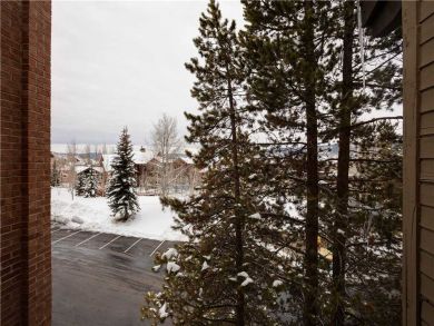 Steamboat Springs Home 927606