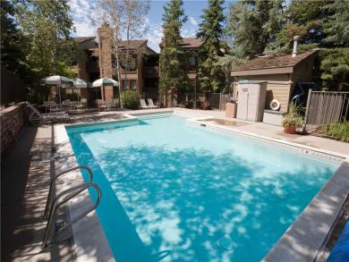 Steamboat Springs Home 927606