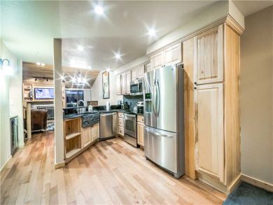 Steamboat Springs Home 927607