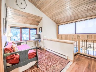 Steamboat Springs Home 927607