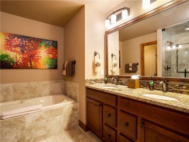 Steamboat Springs Home 927612