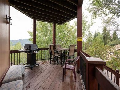 Steamboat Springs Home 927612