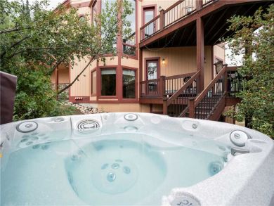 Steamboat Springs Home 927612