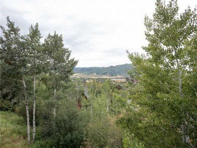 Steamboat Springs Home 927612