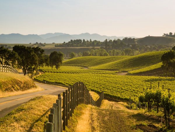 Luxury Five Bedroom Vacation Home in Santa Ynez Valley