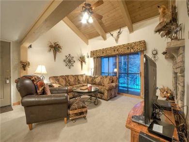 Steamboat Springs Home 927616