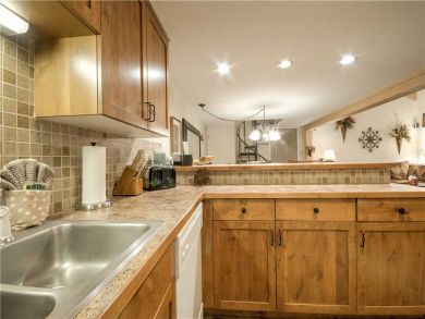 Steamboat Springs Home 927616