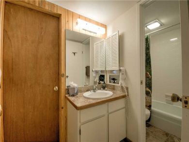Steamboat Springs Home 927616