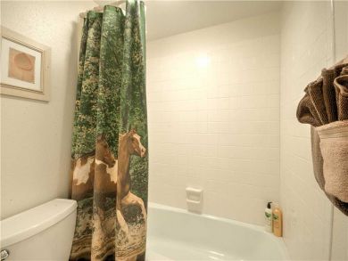 Steamboat Springs Home 927616
