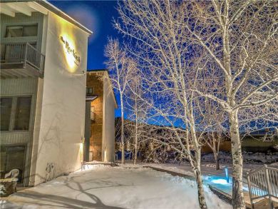 Steamboat Springs Home 927616