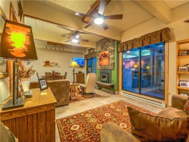 Steamboat Springs Home 927617