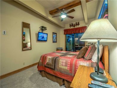 Steamboat Springs Home 927617